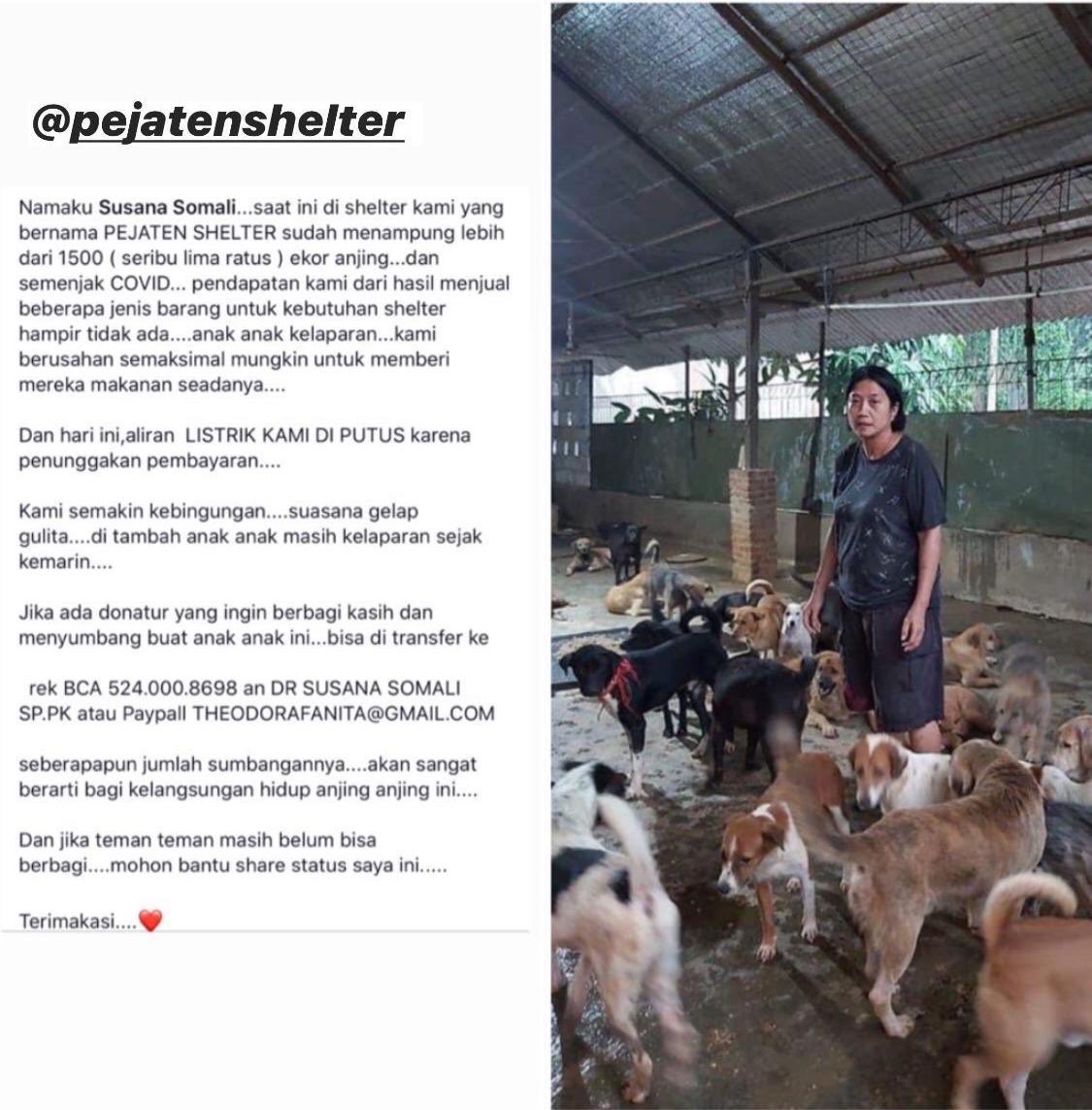 cicakterbang's tweet image. Mungkin ada yg minat bantu 🙏