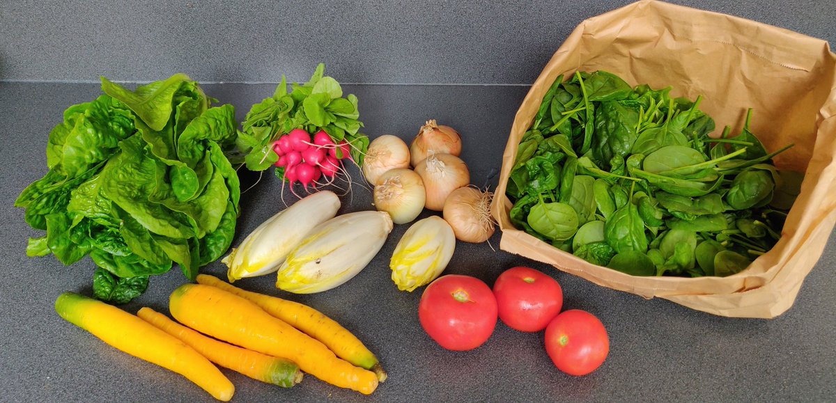 Ook deze week weer een mooi pakket! Het is duidelijk juni (maar dat is tussen mei en juli 😉).