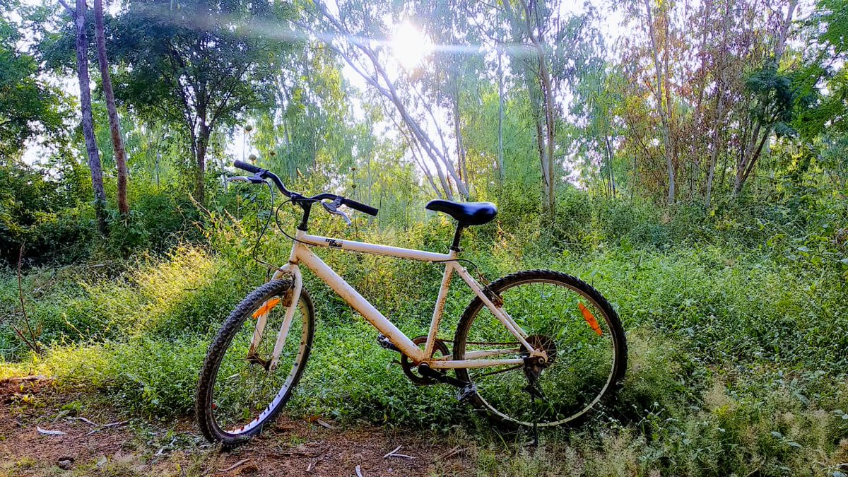 Missing Moments!!! 
#Cycling @ #PalapittaCyclingPark #Hyderabad 

#WorldCycleDay #WorldCycleDay2020 
#WorldBicycleDay #WorldBicycleDay2020