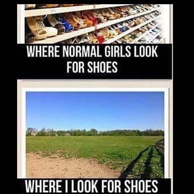 Can’t I do both? 🤷‍♀️

Reposting @horse.bloopers_