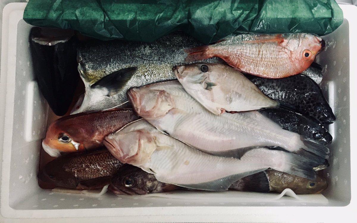 ゆきぴ ホニュル 今日届いた11種類の魚 すごい量で送料込みで7000円ちょっとの驚きの価格 どれがどの魚 か分からなくてgoogle名前を確認し 点呼をとり 捌き方をyoutubeでオンライン授業し まずは本日は刺身から