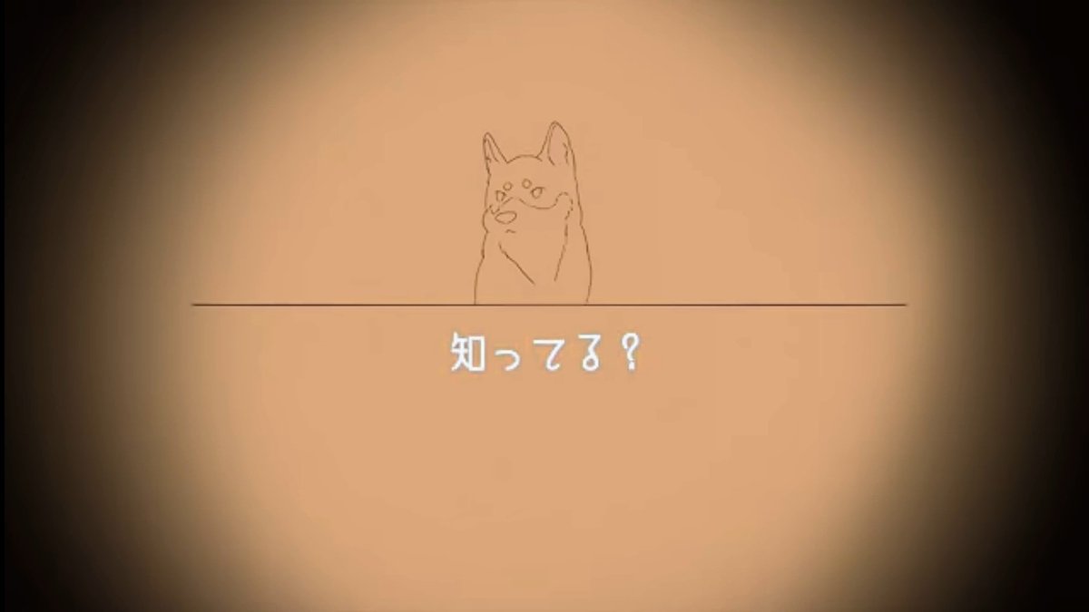 knpppp's tweet image. 