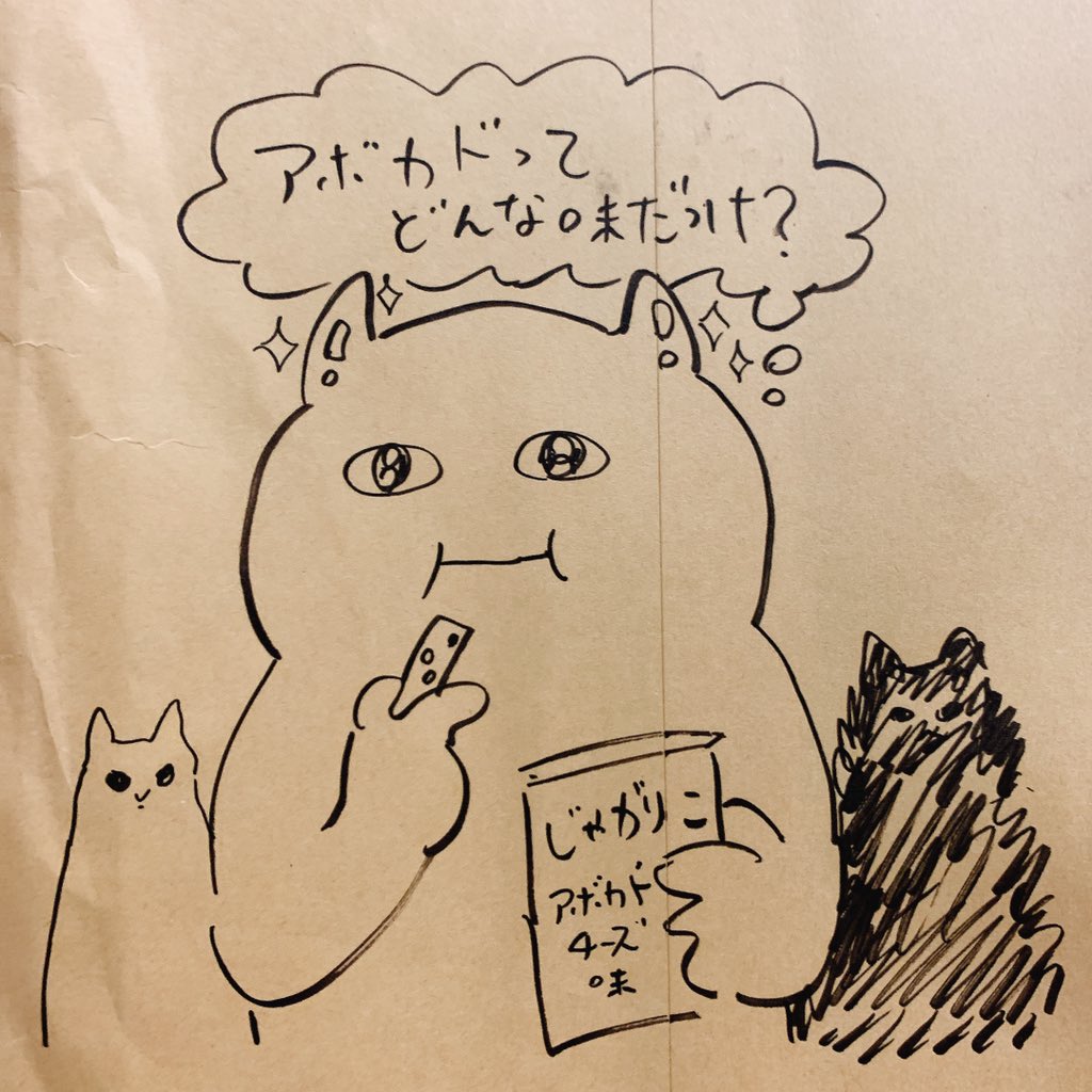 2月ぶりの美容室で中3ぶりのショートカットにした!
うれしいな〜! 