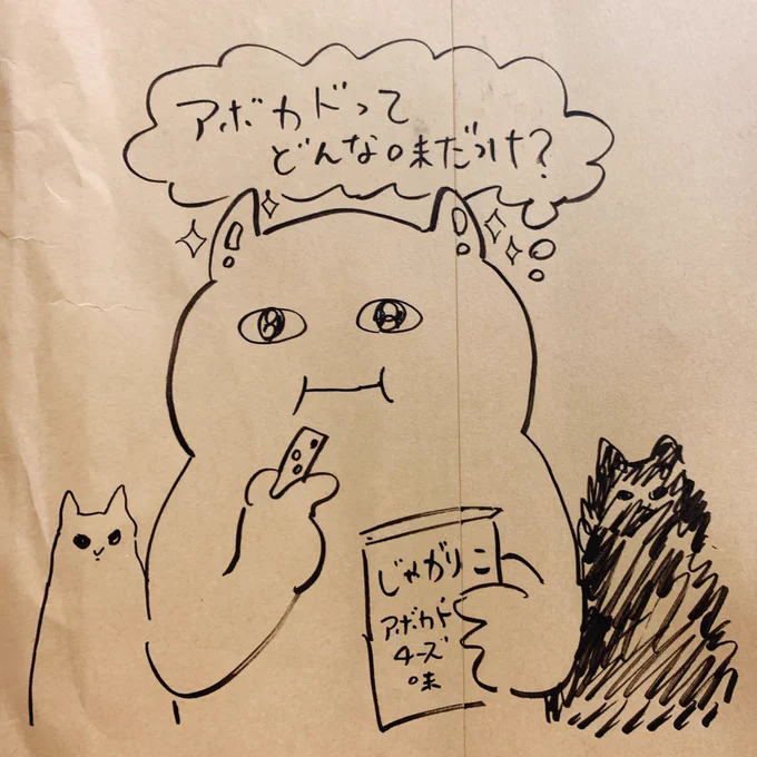 2月ぶりの美容室で中3ぶりのショートカットにした!
うれしいな〜! 