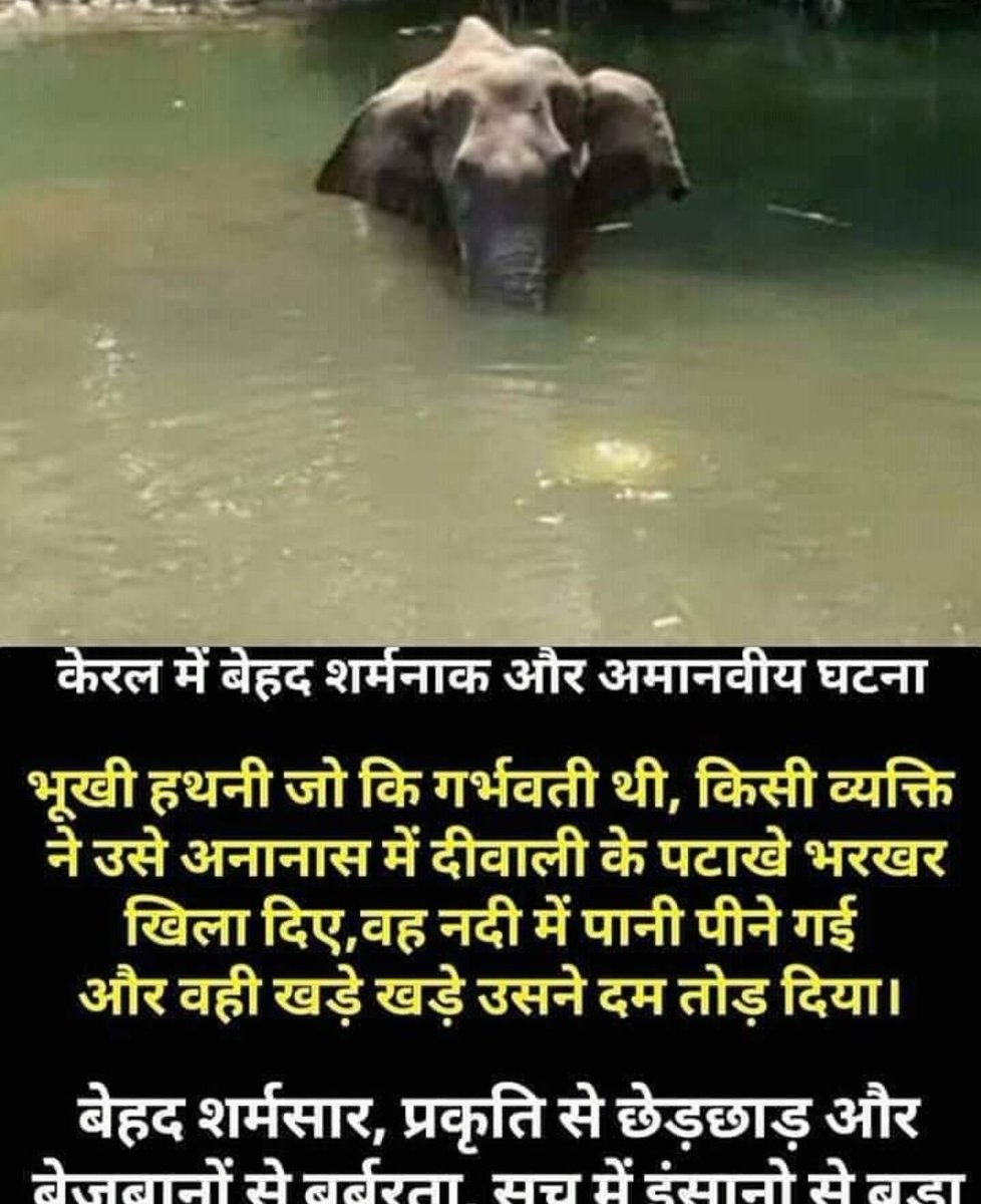 shivhare_er's tweet photo. Rip😥 https://t.co/cJLL0HH2I4