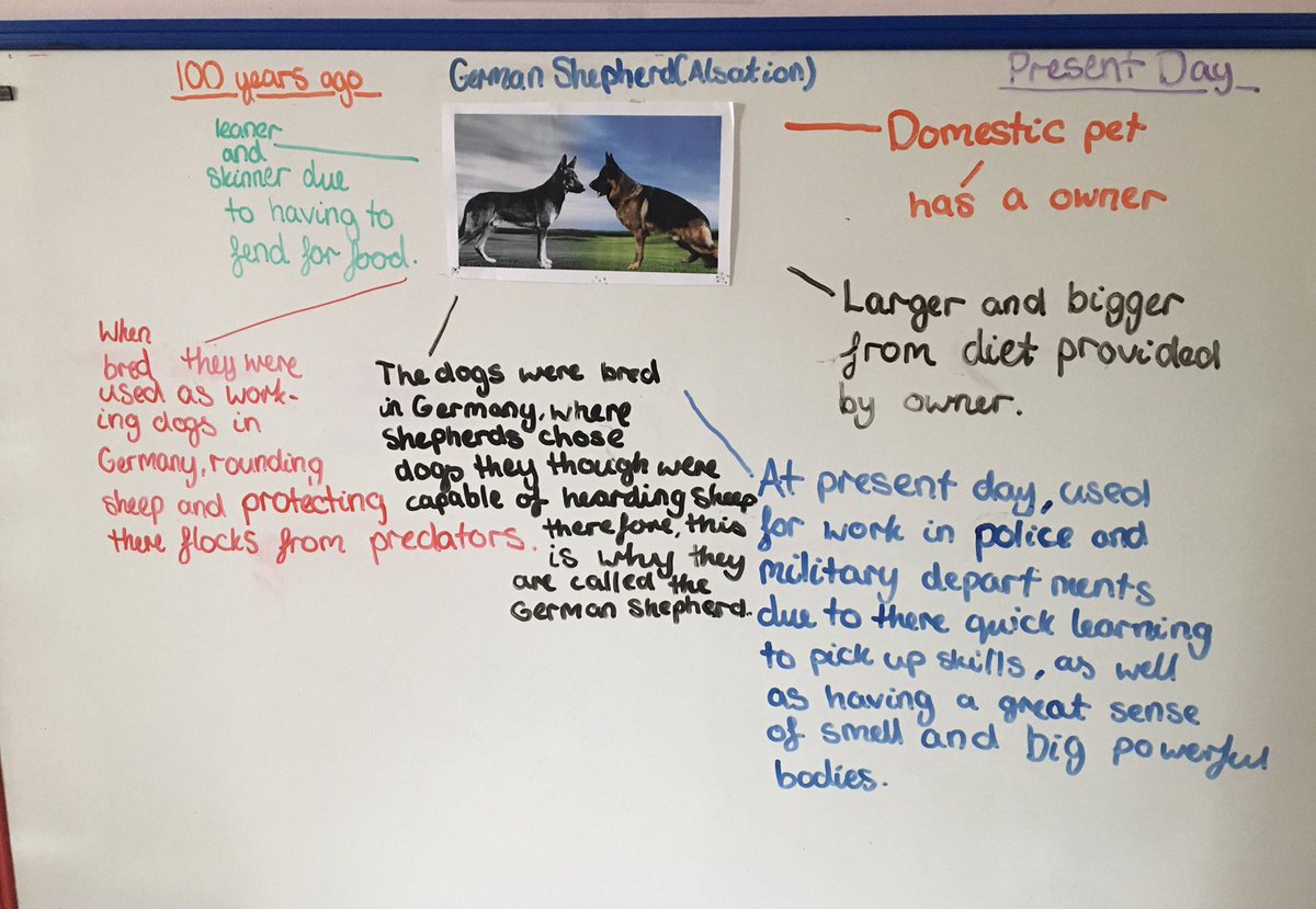 CaronFincher's tweet photo. @OldburyPark some of Emily’s research for today’s work https://t.co/OTI4ZVP2iS