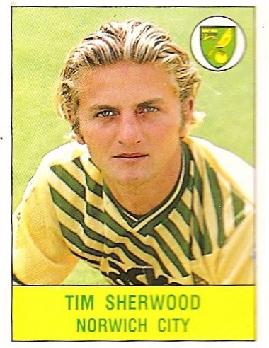 Canaries Japan ティム シャーウッド Tim Sherwood ブラックバーンがプレミア優勝した時のキャプテン ノリッジでは試合に出場し13ゴールを決めた キャリア終盤はスパーズ ポーツマス コベントリーでプレイ 現役引退後はスパーズのコーチを