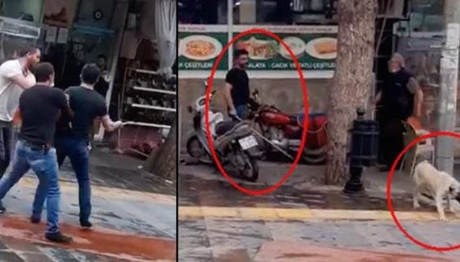 Köpeği fırça sapıyla döven kişiye 4 bin 495 lira ceza bit.ly/3dGUT2B