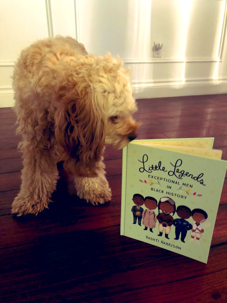 IngleboroughLlc's tweet photo. 1/3 #ChipReads took a pause because he couldn’t find the right book. Chip has been watching the news... closely. Always an ally Chip knows #BlackLivesMattter every day... not just when it’s trending. Keep an eye out for an updated virtual LLC this week https://t.co/DOQ1qdLXVU