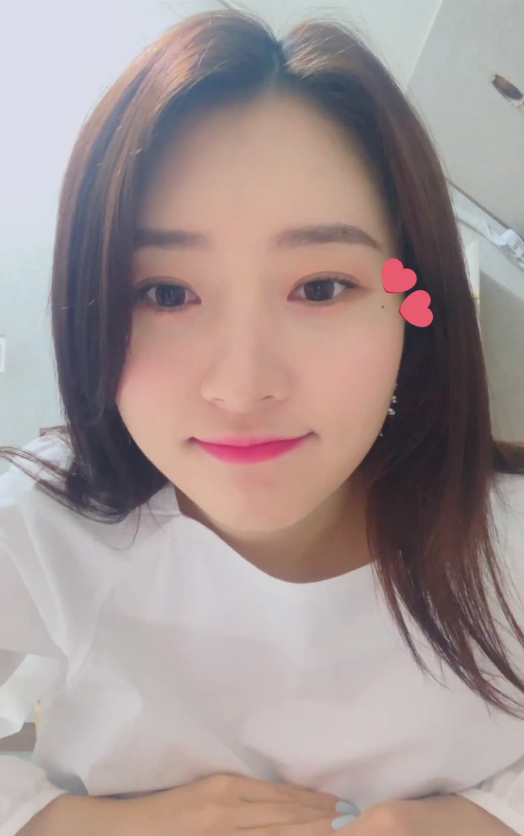 borasmole's tweet image. 