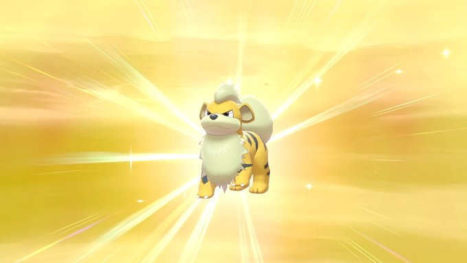 パピ ふわふわわ 色違いのガーディちょうど100個目の卵から生まれた 子犬ポケモンだけど色が黄色くなってより虎っぽくなりました 早速ウインディに進化 変わらぬ笑顔が可愛い T Co Gaeytvtuyt Twitter パピ ふわふわわ 色違いのガーディちょうど100個目の卵から生まれた 子犬ポケモンだけど色が黄色くなってより虎っぽくなりました 早速ウインディに進化 変わらぬ笑顔が可愛い T Co Gaeytvtuyt Twitter