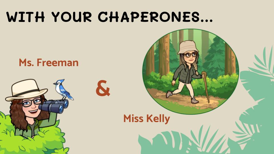 Miss Kelly tweet media