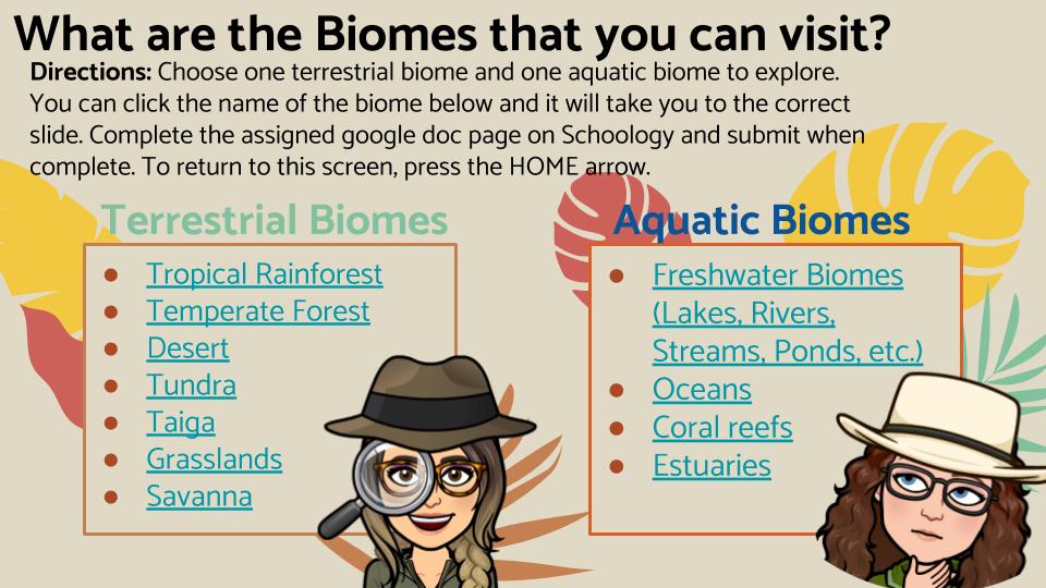 Miss Kelly tweet media