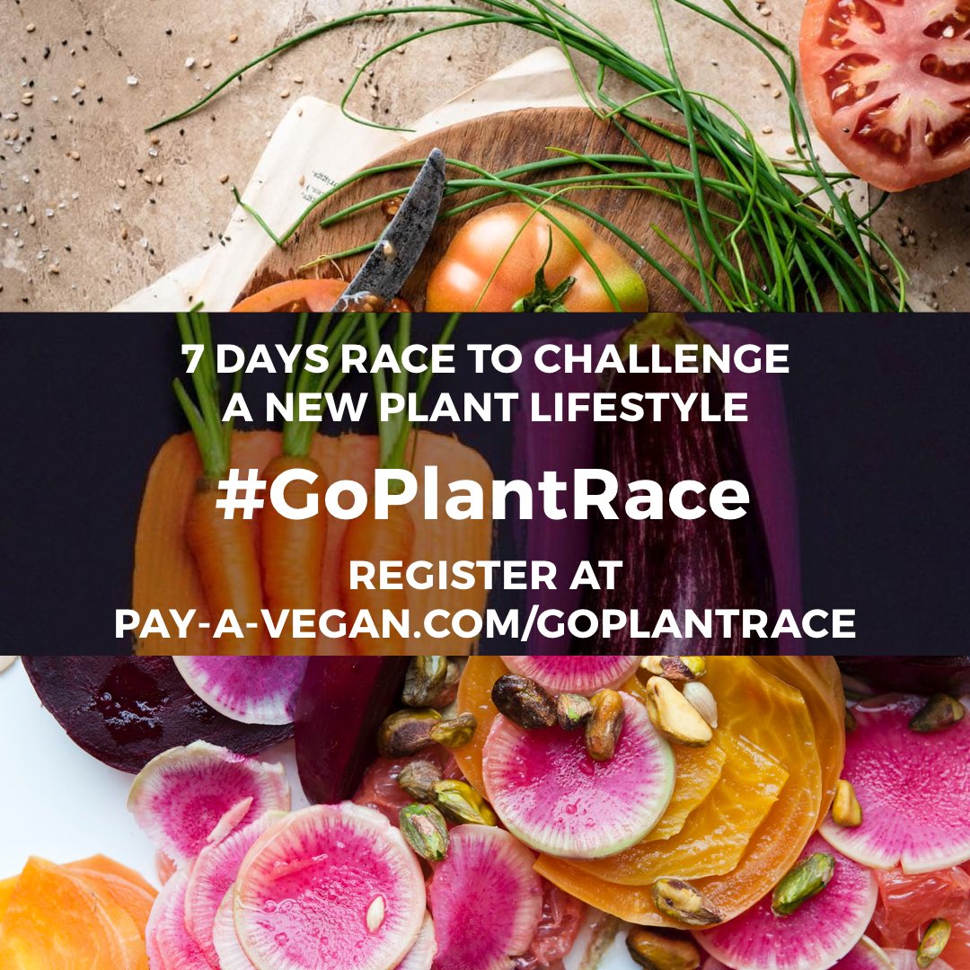 PayVegan's tweet photo. If you live in #hongkong join our vegan campaign 😃https://t.co/uioyJBRZr3 #plantbased #hkvegan #veganhk #HKers 🌱🌎 https://t.co/ALdnjhlGUj
