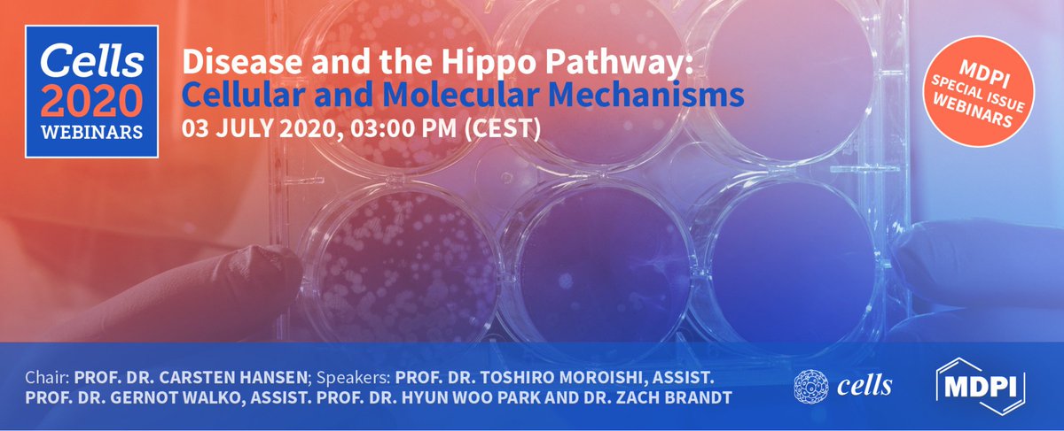 Join us for a free #webinar, July 3rd on the back of our Special Issue: Disease and the #Hippopathway. mdpi.com/journal/cells/… 
Excellent line up of established and ECR Hippo experts
cells-1.sciforum.net #CancerImmunity   #Skin    #CancerMetabolism   #Development.