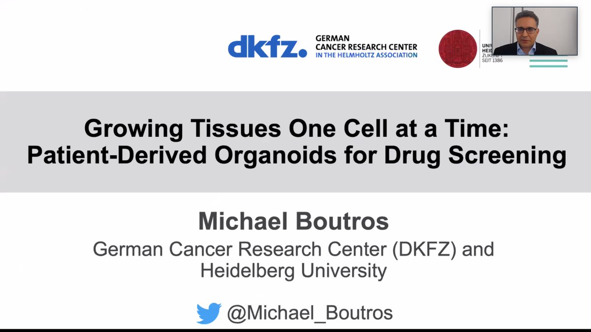 Today in #mattertolife #mtllectureseries: @Michael_boutros from @boutroslab explained how to phenotype organoids derived from colorectal cancer patients in a high throughput manner. bioRxiv-preprint available here: biorxiv.org/content/10.110…