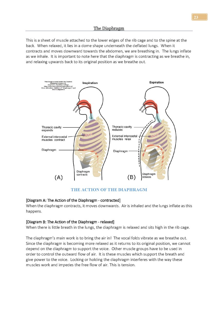 SingingHandbook's tweet photo. ✅DOWNLOADABLE on your MOBILE &amp; ALL digital devices 
✅FULLY INTERACTIVE - "one click," navigation
✅IN DEPTH VOCAL ANATOMY &amp; PHYSIOLOGY in colour
✅MOBILE FRIENDLY - where your phone is, the eBook is!
✅AVAILABLE through https://t.co/shzPyYYRMw https://t.co/ihkDOqaDmj