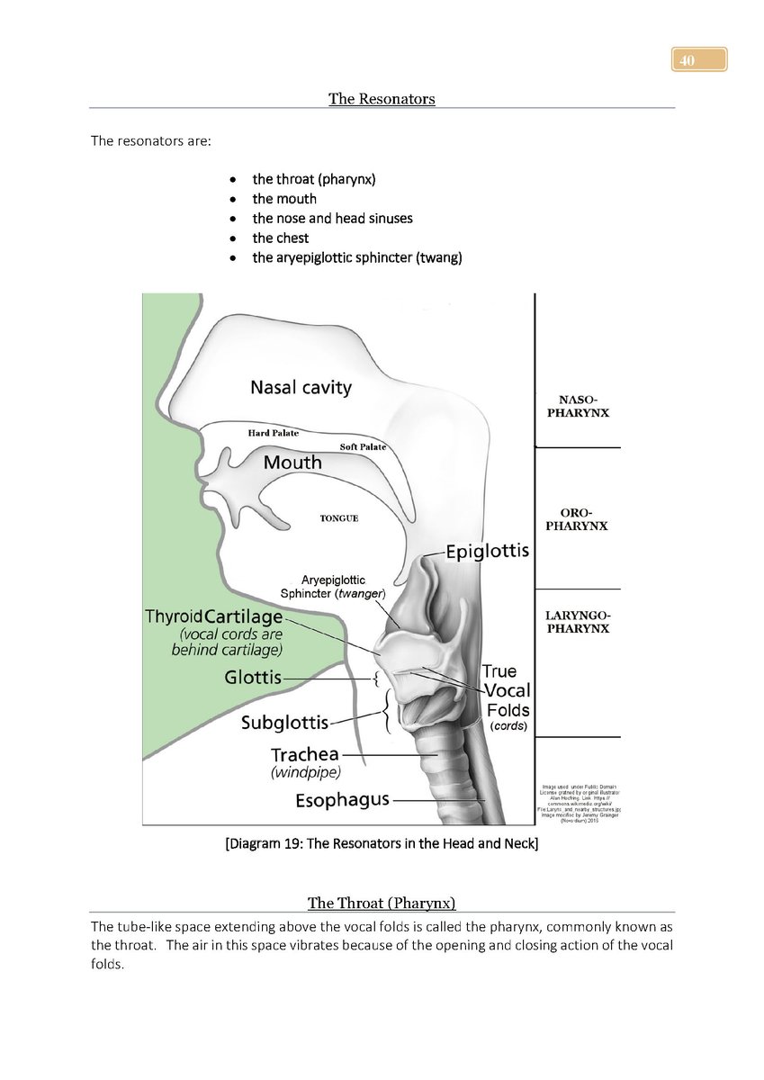 SingingHandbook's tweet photo. ✅DOWNLOADABLE on your MOBILE &amp; ALL digital devices 
✅FULLY INTERACTIVE - "one click," navigation
✅IN DEPTH VOCAL ANATOMY &amp; PHYSIOLOGY in colour
✅MOBILE FRIENDLY - where your phone is, the eBook is!
✅AVAILABLE through https://t.co/shzPyYYRMw https://t.co/ihkDOqaDmj