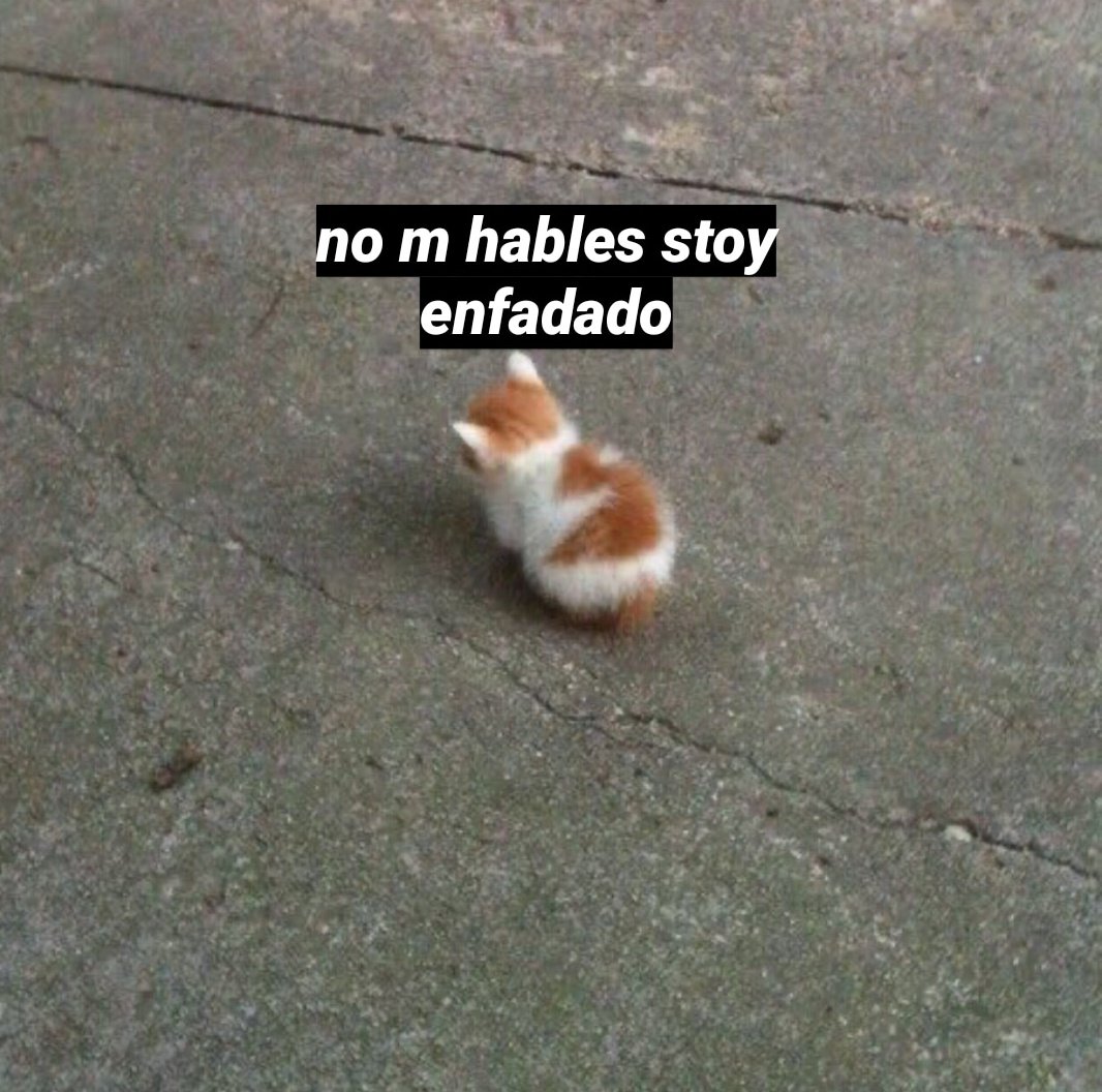 𝐏𝐞𝐭𝐞𝐫 tweet media
