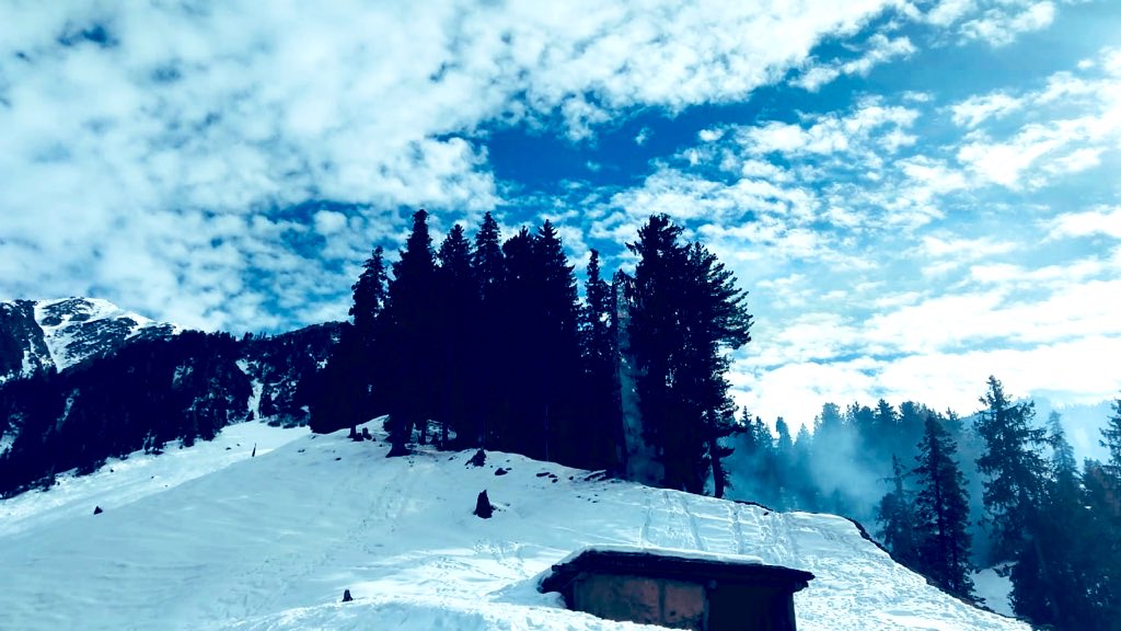 XtremeAdvntrs's tweet photo. Family time #Gullidanda #Bhadarwah
@JammuTourism https://t.co/Y6RoQubZaz