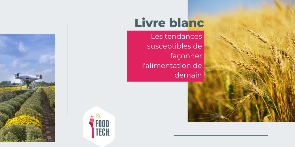 A l'heure de la #transition alimentaire, La FoodTech vous présente l'édition 2020 de son livre blanc. Nous décryptons les tendances en matière d'#alimentation : répondent-elles à un enjeu de #TransitionAlimentaire ? 🍽 

👉 bit.ly/36XuTgP 

#FoodTech #AgTech