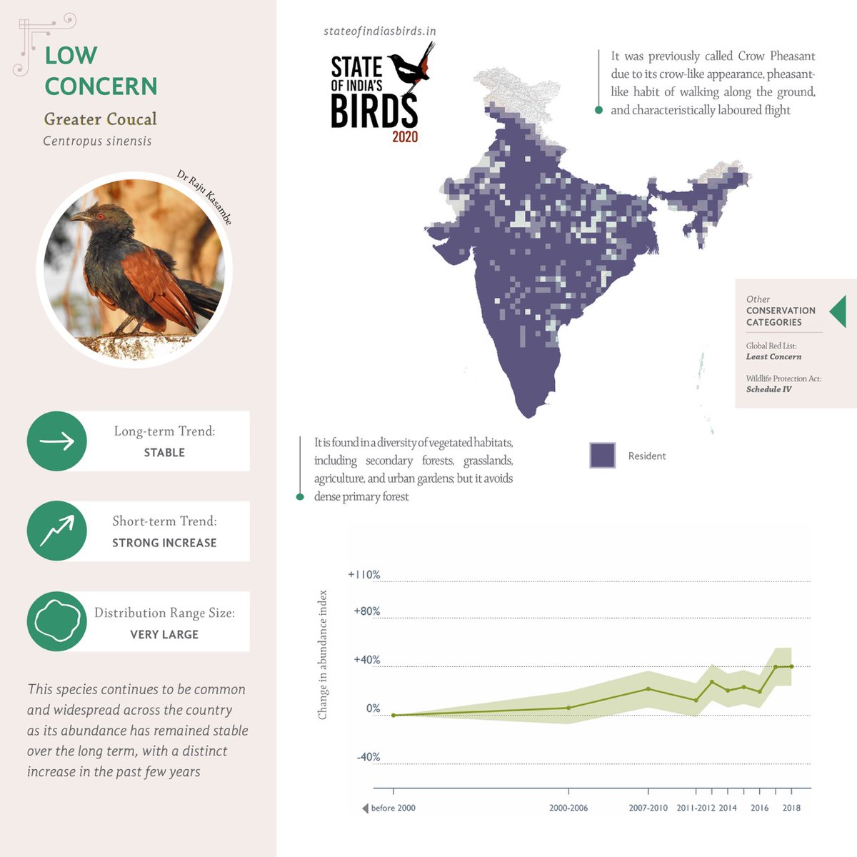 BNHSIndia's tweet photo. I am a shy #bird, previously called as Crow Pheasant.
I take care of my own eggs.. even though I am member of the Cuckoo family.
Who am I?
.
.
.
GREATER COUCAL
Species has shown a stable trend over the long run.
Know more about your avian friends
https://t.co/o6lAHA6jyT
#SoIB2020 https://t.co/QrfvHqLx1e
