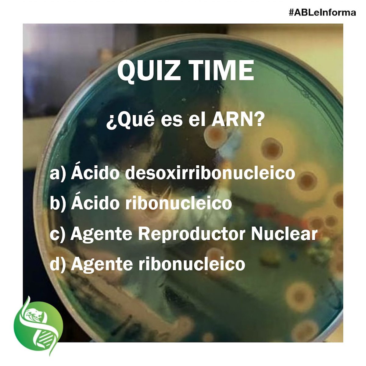 able_leon's tweet image. #BioQuiz

Y vosotros, ¿Sabéis lo que es el ARN?