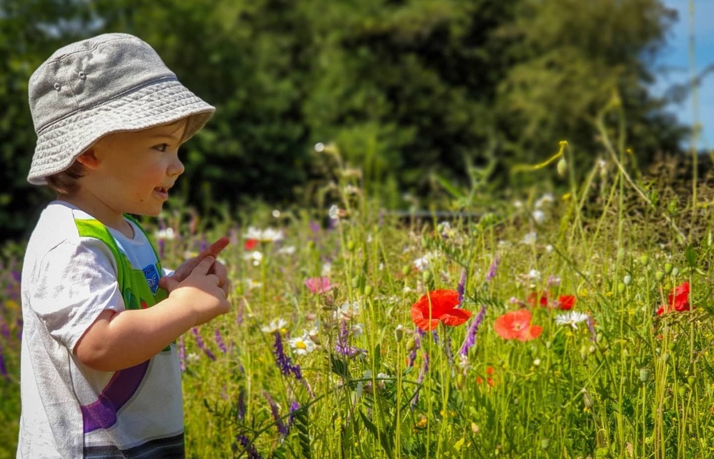 jmgolfcoaching's tweet photo. The joys of Bee Spotting... 🐝 #nature #walk #summer #wildlife #wildflowers #noahandtheworld https://t.co/pfOg1Bo1Hw https://t.co/5wUToSw0tU