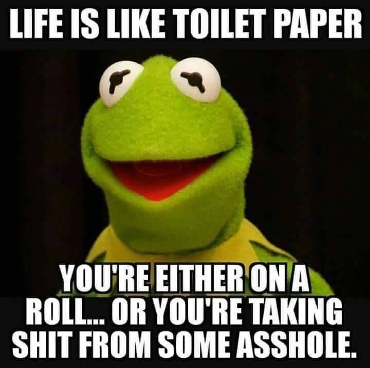 2funny_memes's tweet photo. Life is like a toilet paper 🧻 You're either on a roll... or you're taking shit from some 🅰️SS hole. #memematic #dank #dankhumor #dankmemes #dankmemesdaily #dankestmemes #dankmemez #dankest #gamergirl #gamer# #memes #memes4days #memerlife #roast #bruhbruh #bruhmoment https://t.co/Yb1QWEr9mk
