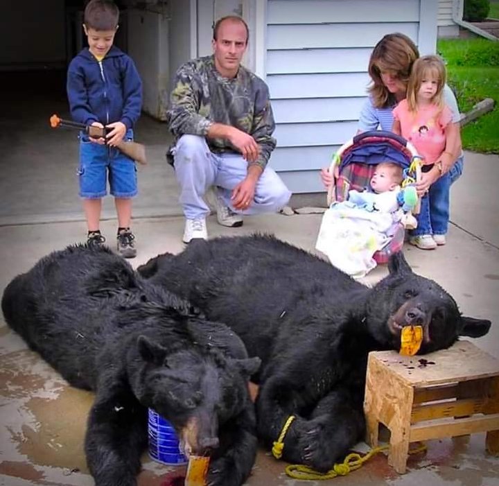 Madeleine Anderson tweet media