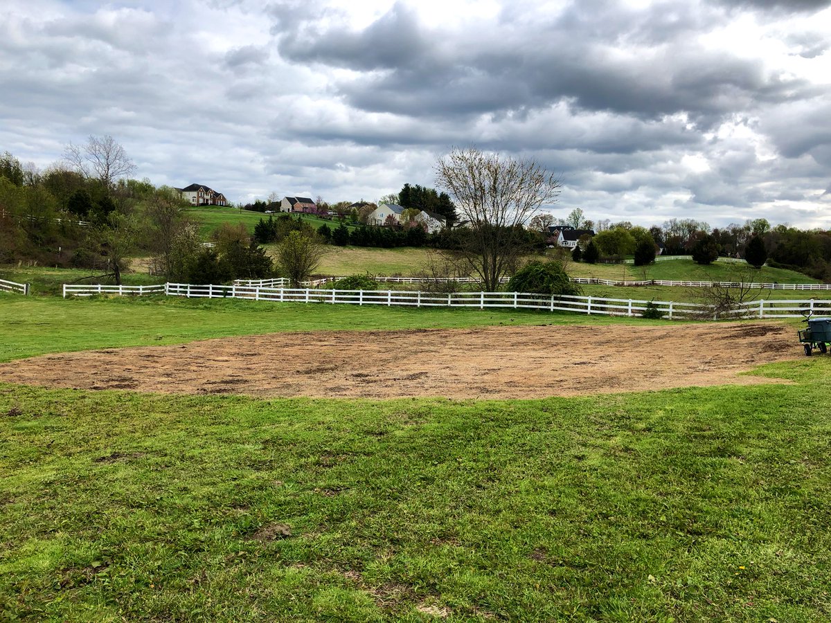 CabbageGolf's tweet photo. Time to chop the second green short! Little seedlings are all grown up #cabbagerungolf #golf #golfgreen #chewingsfescue #backyardgolf https://t.co/xJ0vFZCBGp