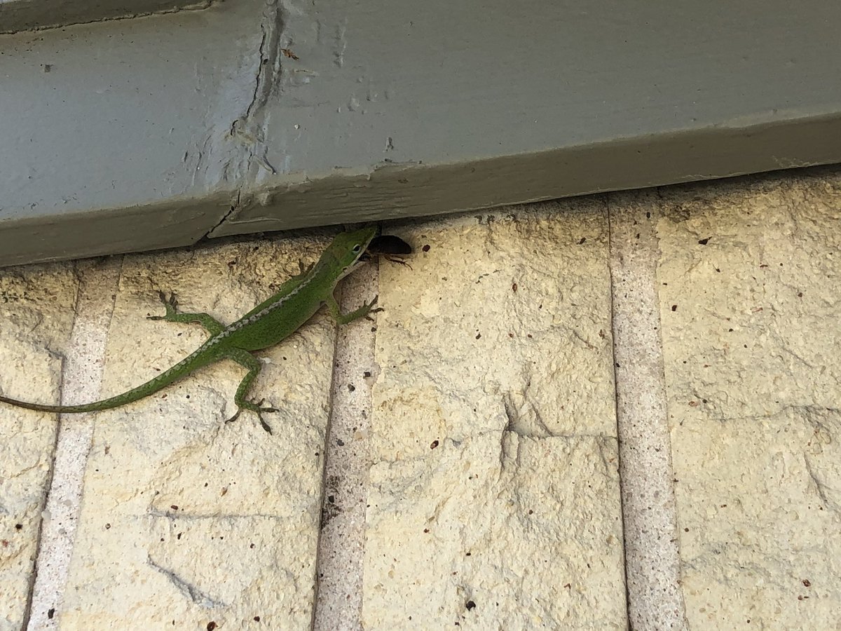 007bugman's tweet image. 