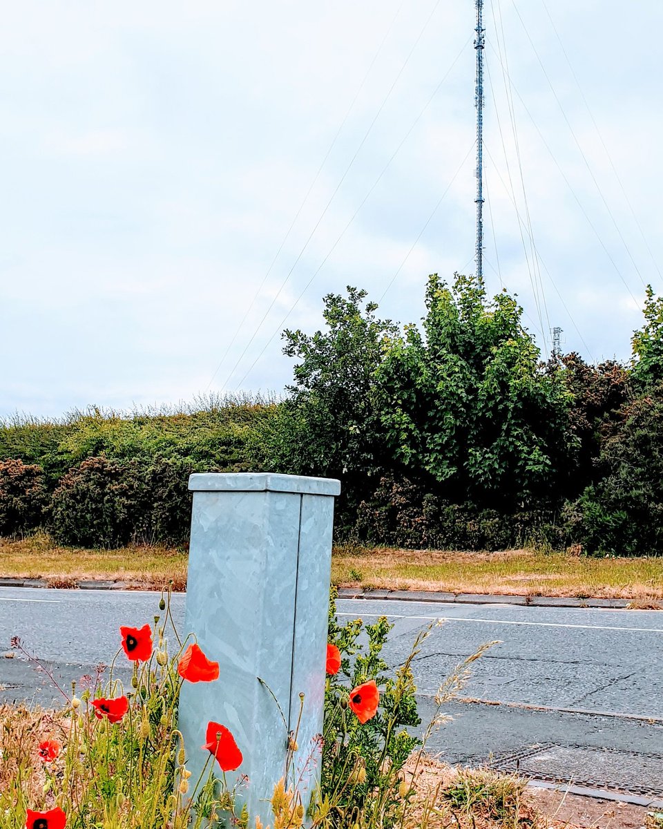 @SuttonObserver the TV mast and poppies in lockdown #royalsuttoncoldfield #fouroaks