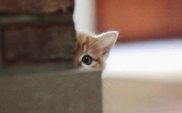 y__g13's tweet image. هناك من يريد الإقتراب منك ولكنه خجول قليلآ..