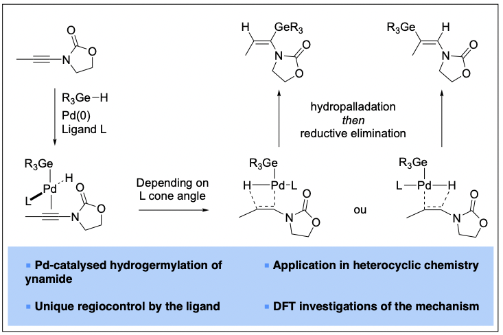 Blanchard_Lab's tweet photo. 5 years in the making! We report the regio- and stereoselective hydrogermylation of #ynamides and mechanistic insights. Congrats Vincent, Aneta, @LenaicRummler – special thanks to @BizetVincent and @houk1000 @uclachem @INC_CNRS @UHA68 @unistra https://t.co/5nC5zjIqbv