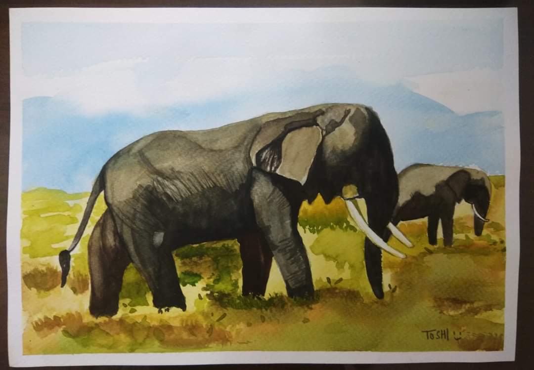 ToshiSharma10's tweet photo. Pain beyond words #mallapuram #JusticeForElephant https://t.co/nps3seGpN0