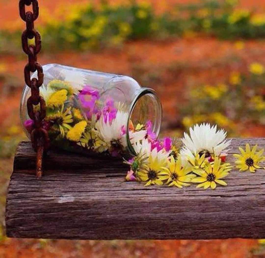 RanaFarah17's tweet photo. أي شخص مستور ~ لا تحاول أن تكشفه .. 
ولا تحاول أن تبحث عن الوجه الآخر لأي شخص ،
يكفي أنه احترمك وأظهر لك الجانب الأفضل منه ،
إجعل من اكتفائِك قناعة ♡~ https://t.co/k77HihMtrr