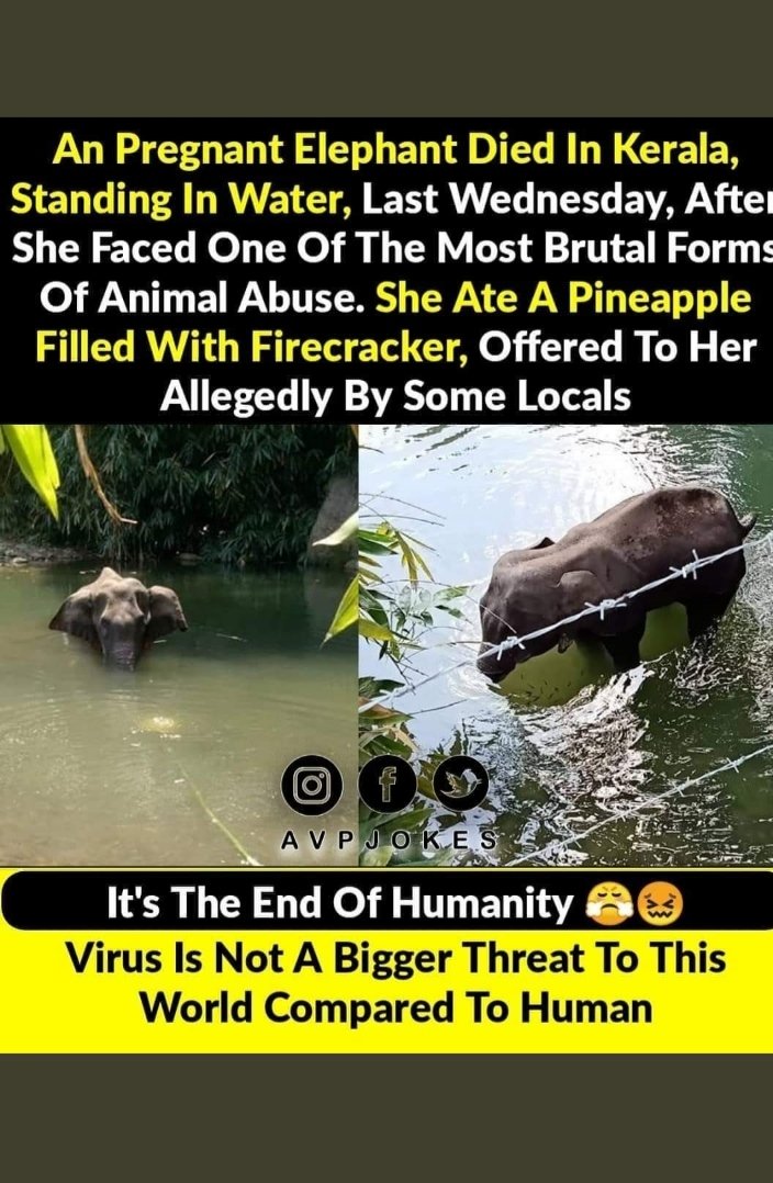 Payalsahu31's tweet photo. It's the end of humanity 💔 https://t.co/0kraohvJAj
