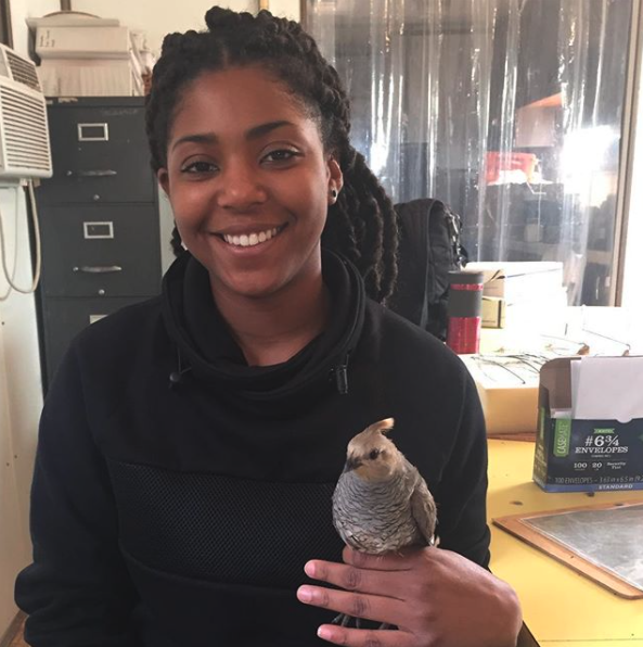 Today is #BirdingWhileBlack day of #BlackBirdersWeek 
Share your experience or #ShareBlackStories 
Nature is for everyone. 🖤🤎❤