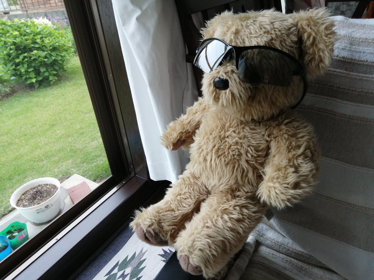 すえちゃん (@TSueda2) / Posts / X