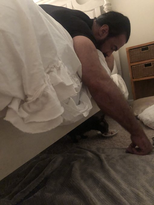 View image on Twitter