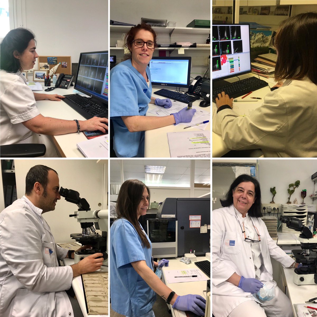 hmarpath's tweet photo. Os presentamos la sección de Citología Hematológica que forma parte del Servicio de Patología del Hospital del Mar https://t.co/8ENGnmqXrn