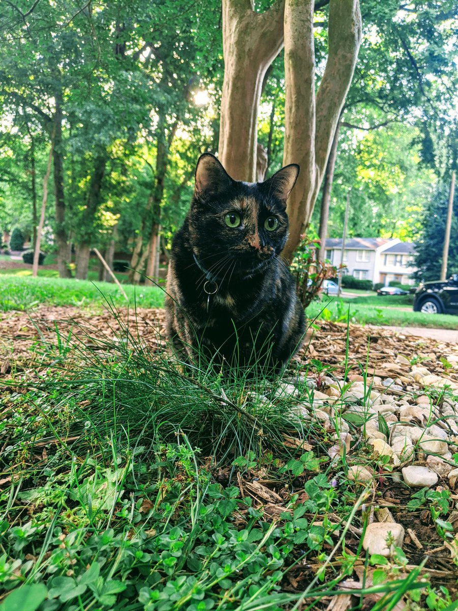 😺