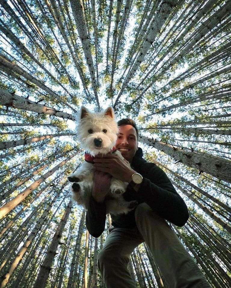 Aleksaaa_M's tweet photo. 😍
#Dog 
#NaturePhotography 
#loveanimals https://t.co/aQXO1qDyyr
