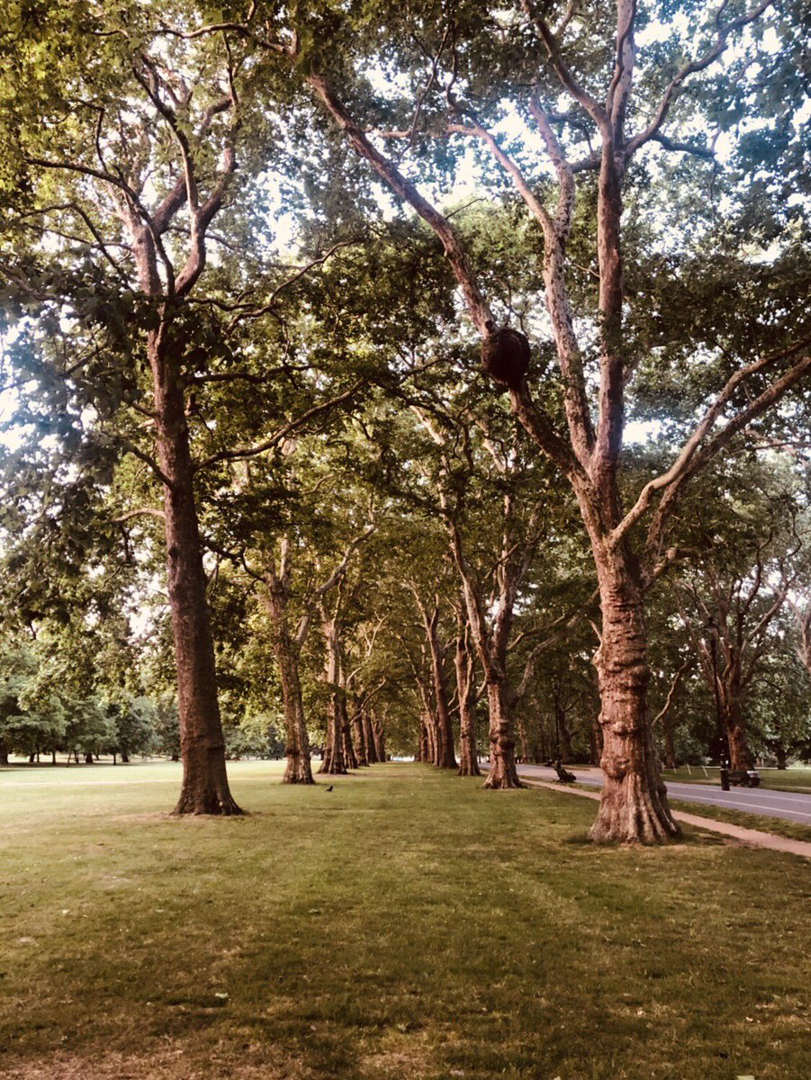 An example would be this photograph from Saipan. Our eyes are drawn immediately to two things: the two trees in the foreground and the subconsciously-made pathway that the treeline creates from Taehyung’s vantage point.