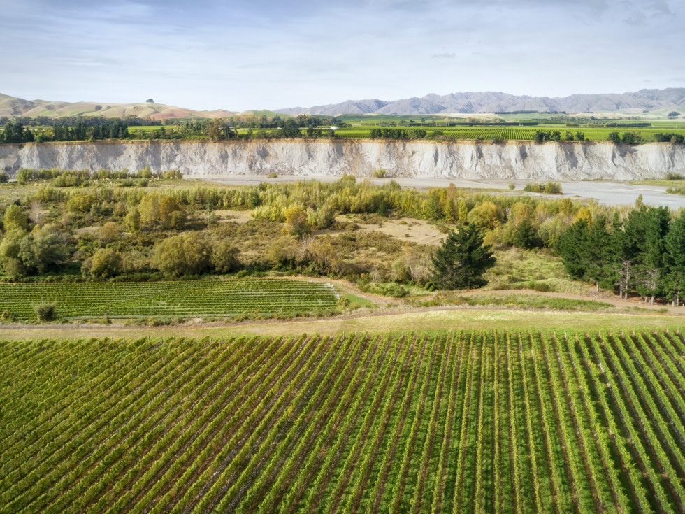 FONDBERG's tweet photo. Den 23 juni lanserar We &amp; Wine Villa Maria Taylors Pass Sauvignon blanc 2019 https://t.co/UTtiKEH1Rd https://t.co/38zN2SAEF2