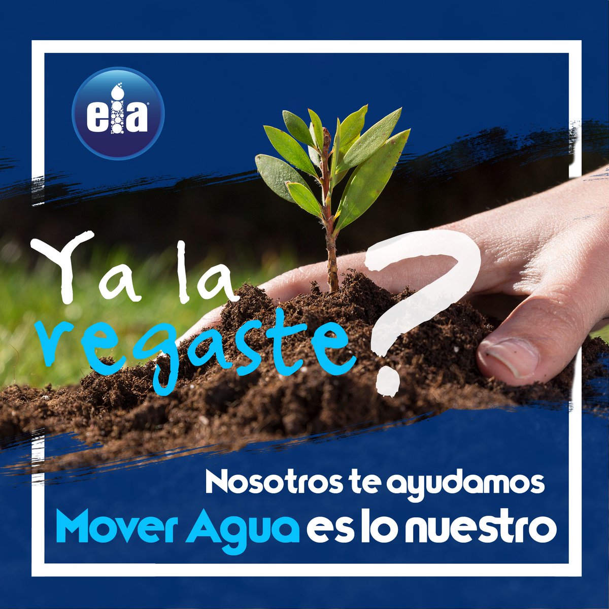 eia_comercial's tweet photo. Sabias que la cantidad de #agua que necesitan las #plantas  varia a lo largo del año, ya que no solo depende de caracterisitcas propias de cada especie sino de factores climaticos y ambientales... y tu #YaLaRegaste? Te ayudamos.
🖥️https://t.co/BxXiNGMfjb
📨info@eiacomercial.com https://t.co/60eB6xandU