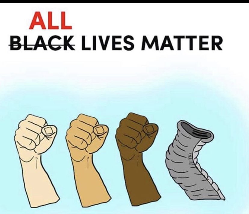RayOGagrat's tweet image. I know it’s a black persons respect movement, and full power to it.  But the pregnant elephant murder in Kerala is just despicable. #humanssuck #lifematters