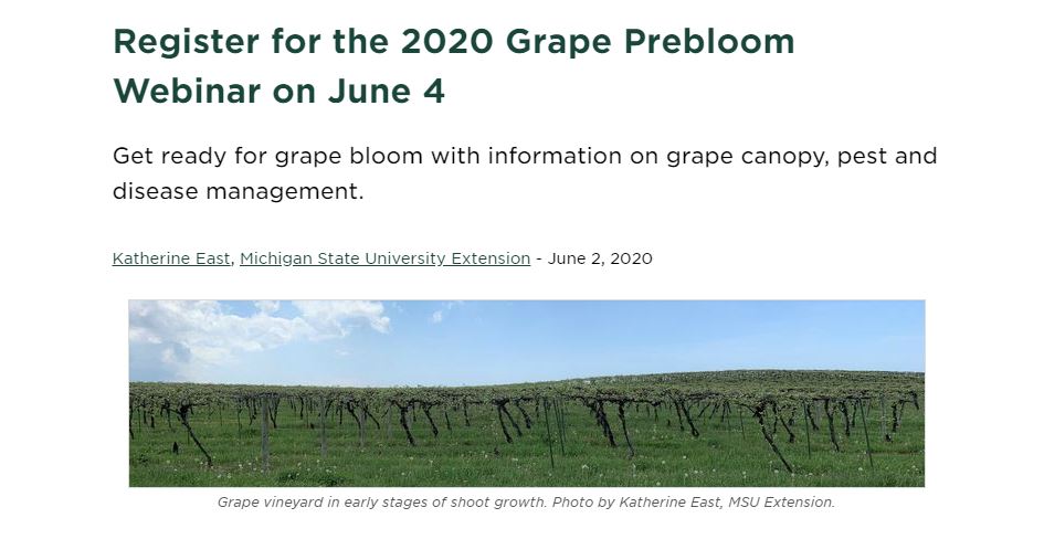 MSUvineWine's tweet photo. This is tomorrow (Thursday)! Get ready for pre-bloom in your vineyard with this @MSUExtension webinar https://t.co/nBCHyZvfOh https://t.co/AKJfUNGkUn