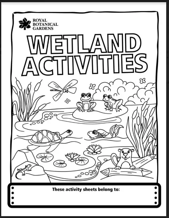 Wetland Coloring Pages